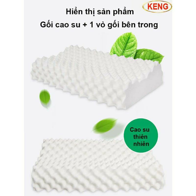 Gối Ventry 100% Mủ Tự Nhiên Chống Đau Đầu, Đau Cổ, Đau Vai Gáy