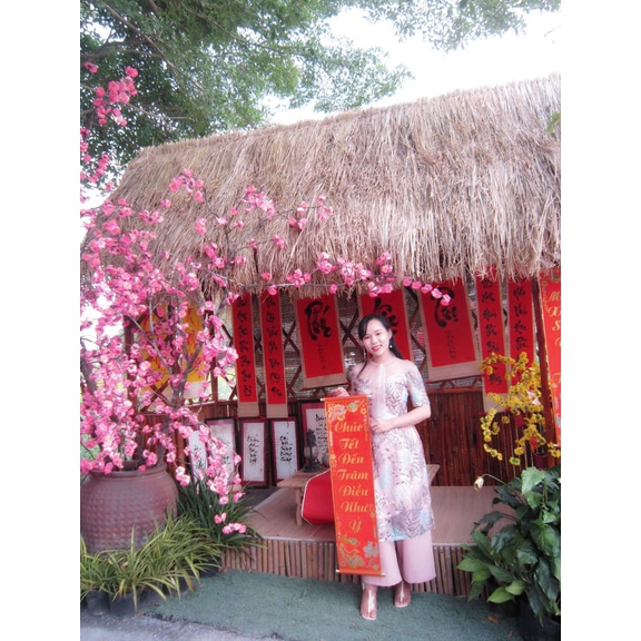 Thanh lý set Áo dài cách tân hoa đẹp