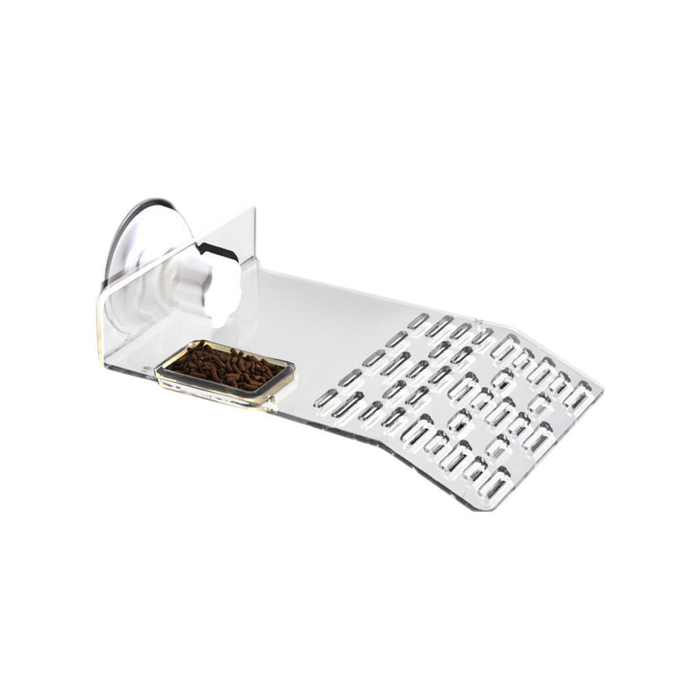 Miếng nhựa tắm nắng chuyên dụng cho rùa