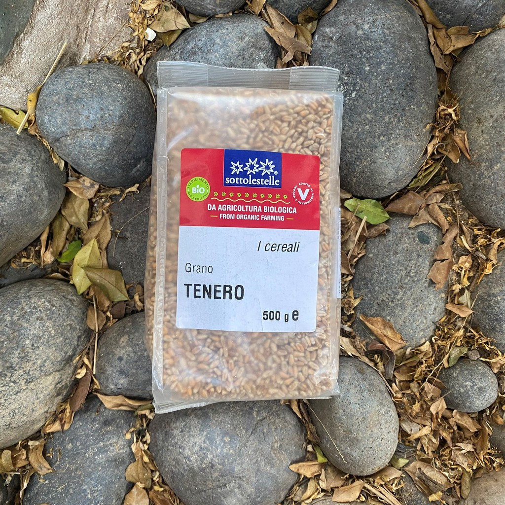 Hạt lúa mì hữu cơ Sotto 500g