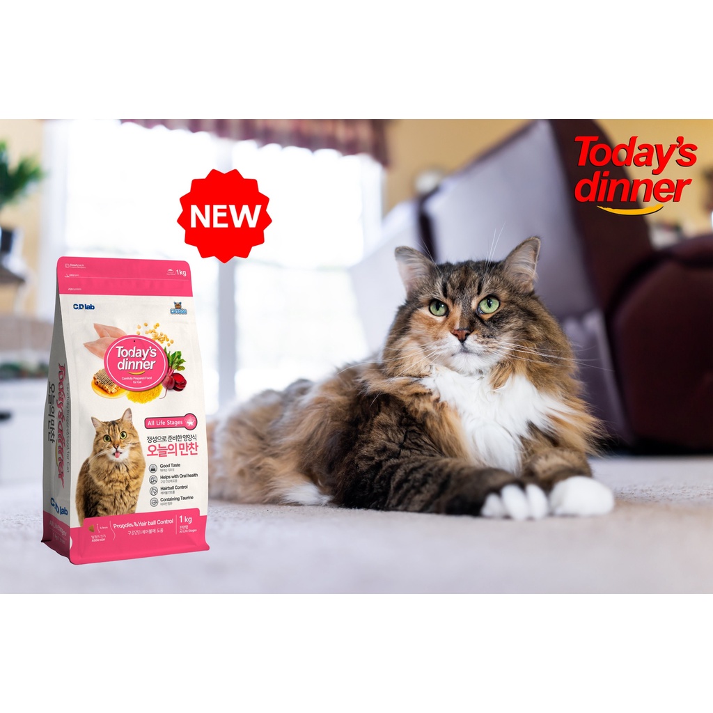 [TIẾT KIỆM] Hạt Thức Ăn Mèo Today's Dinner 1Kg - Túi Tiết Kiệm Today Dinner Thay Thế Catsrang - Bobo Pet Shop Hà Nội