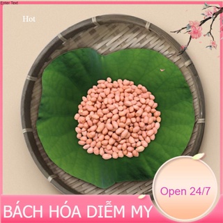 Đậu Phộng, Lạc Quê, Lạc Nhân Sống hàng bóc tay siêu ngon 1kg