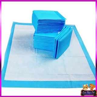 Tã lót cho chó mèo - 10 miếng lót cho chó mèo siêu thấm hút - Combo 10 miếng