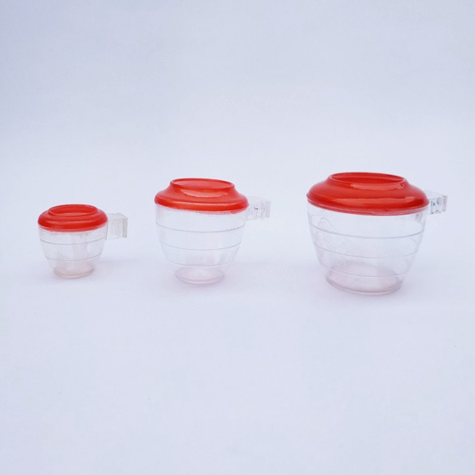 Cóng ăn cho chim , cóng chim chào mào