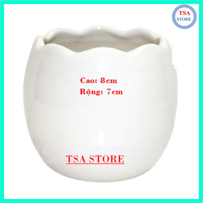 Chậu trồng sen đá Hình Quả trứng chậu sứ mini/tiểu cảnh/terrarium/hồ cá/bonsai/sen đá/xương rồng C8cm x R7cm