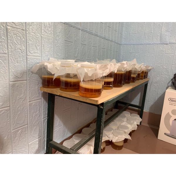 Trà Kombucha/ Scoby Tam Thái Tử