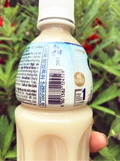 Nước Gạo Hàn Quốc
