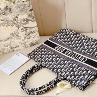 Túi Dior Book cực tiện