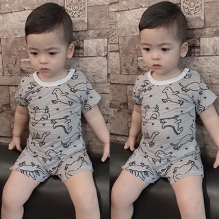 Combo 5 bộ cotton tre