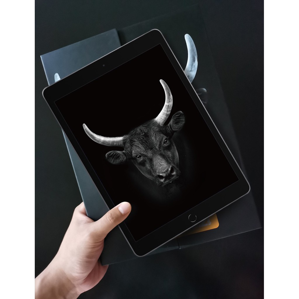 Miếng dán cường lực Mipow Kingbull Premium HD  for iPad Pro/Air 10.2 - 10.4 - 11 - 12.9inch -  - Chính Hãng