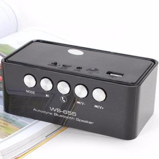 LOA NGHE NHẠC BT WS-655