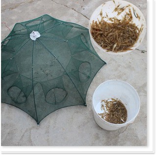 Lưới bát quái chuyên đánh bắt cá (8 lỗ)