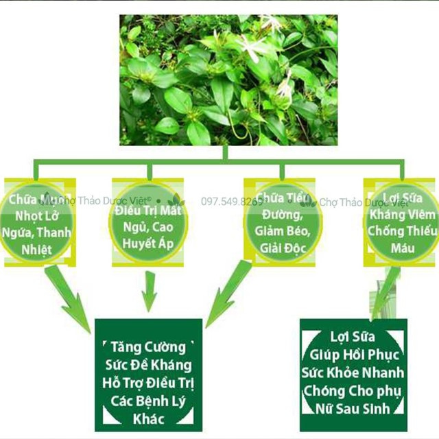 Cao Chè Vằng Nguyên Chất Nhà Làm 500g