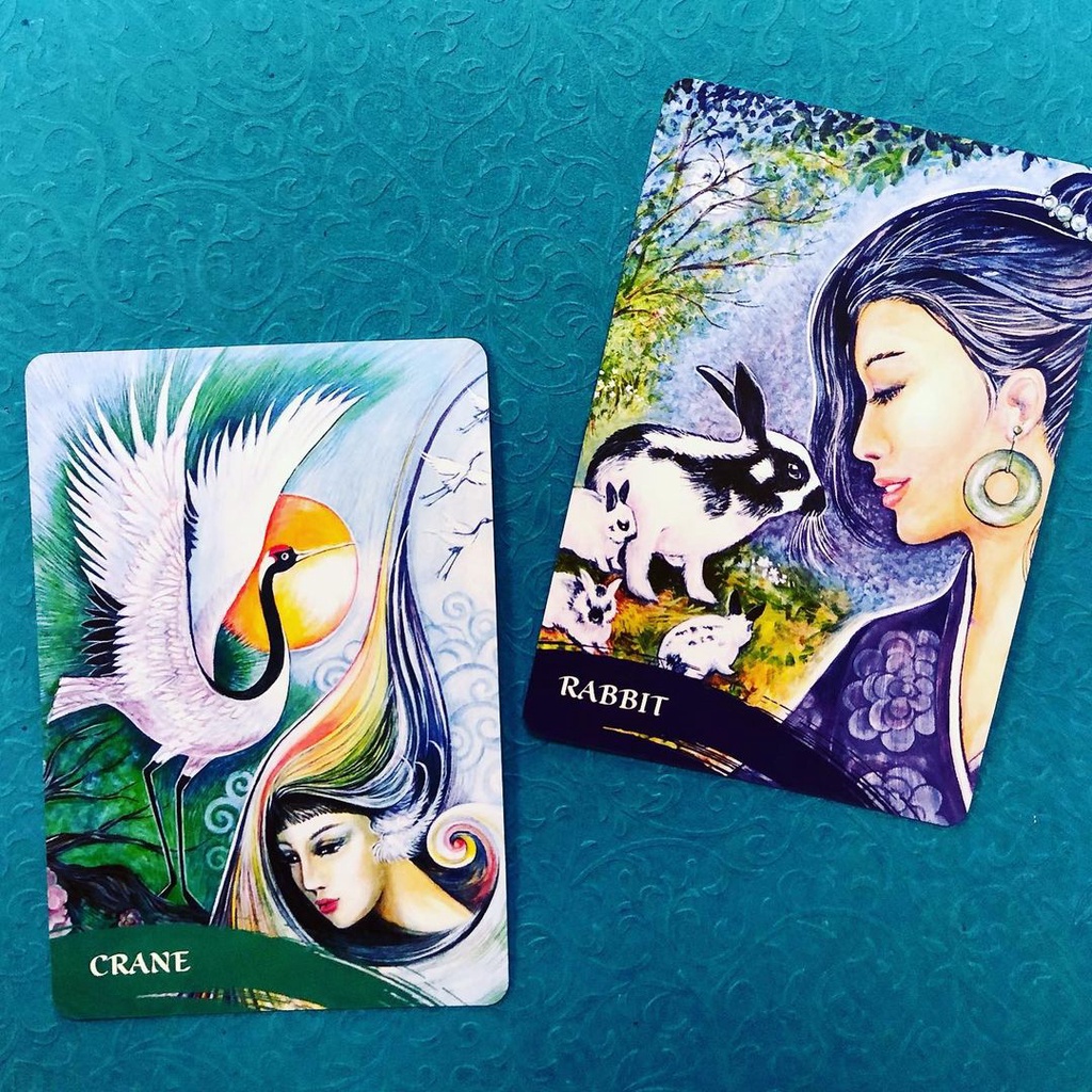 Bộ Bài Zen of Animals Oracle  - Bài Gốc Authentic Chính Hãng 100%