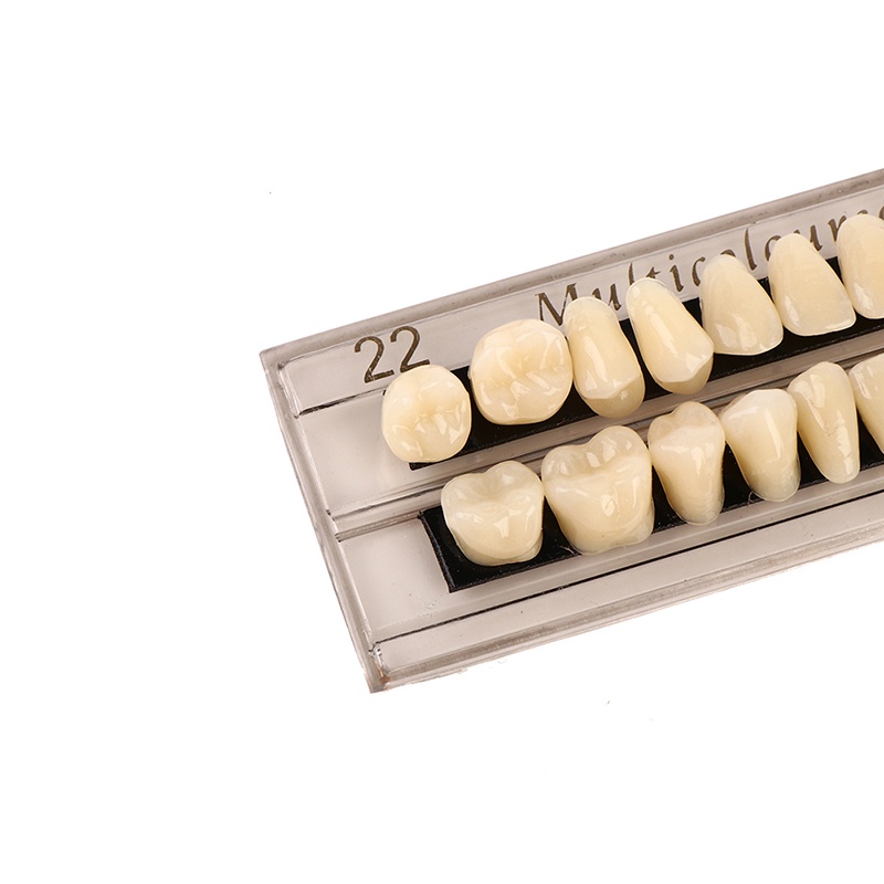 Khuôn Nhựa Làm Răng 28 Răng Tiện Lợi