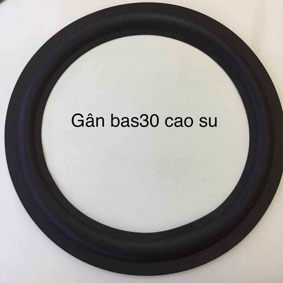 Gân loa bass 30 cao su TQ.