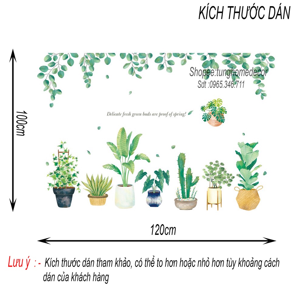 Decal dán tường hàn quốc trang trí phòng ngủ TUNG DECOR QR9071 Chậu Cây Tán Lá