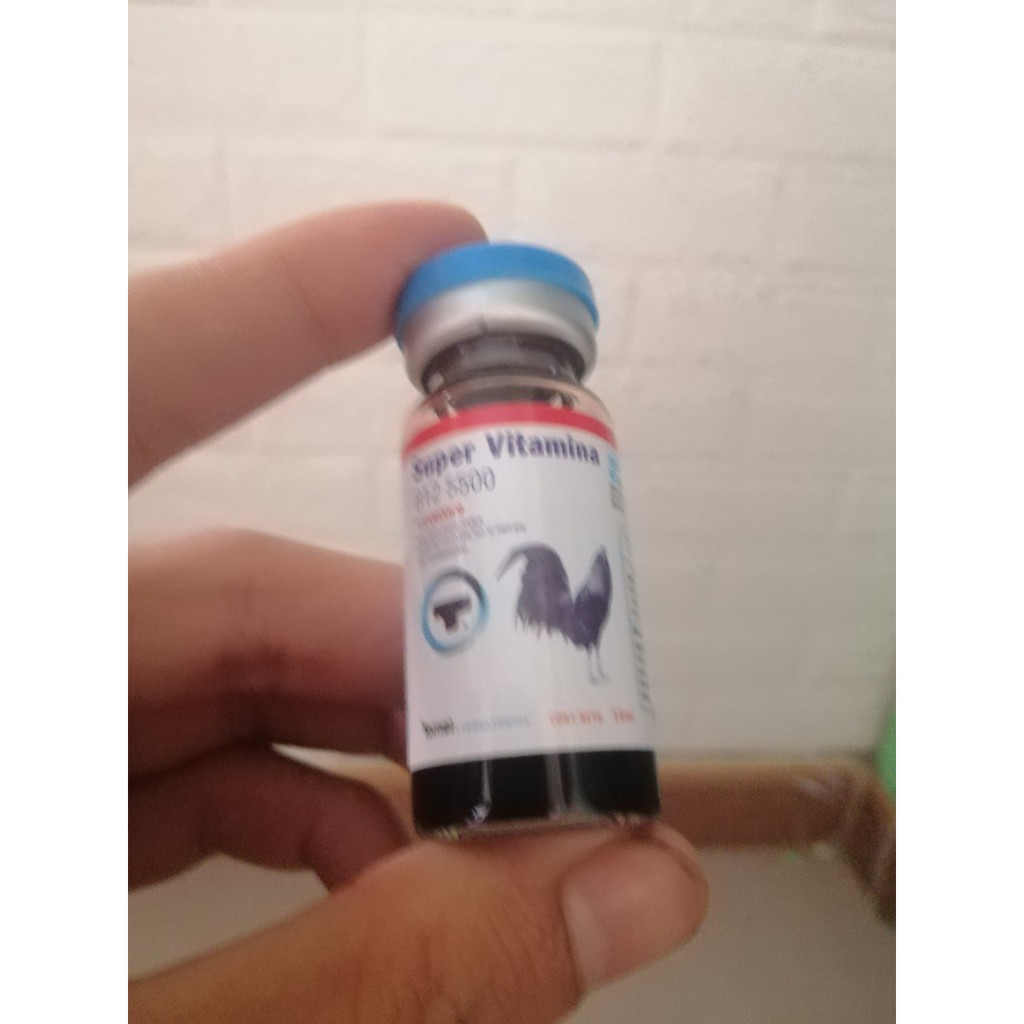 Dành cho gà đá Super Vitamina B12 5500 (dạng chích 100cc / lọ) tăng cường tốc độ và phản xạ