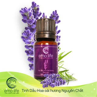 Tinh Dầu Lavender - Oải Hương