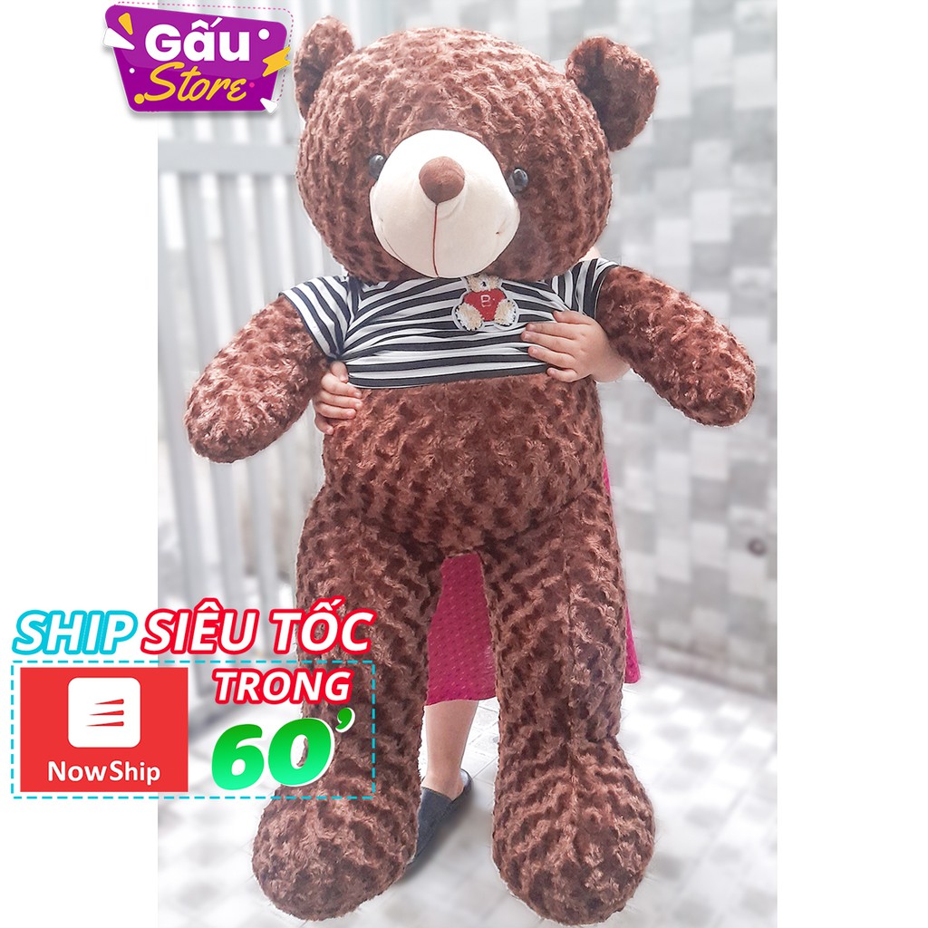 Gấu bông teddy 60cm - 80cm - 1m lông xoắn mềm mịn nhồi bông cao cấp (nhiều màu)