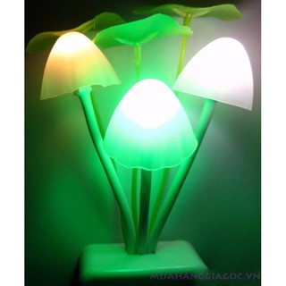 Bộ 2 Đèn ngủ 3 cây nấm cảm ứng