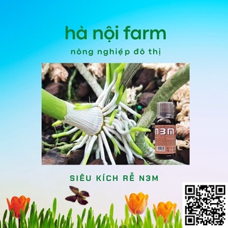 N3M dạng nước 100ml, ra rễ cực mạnh