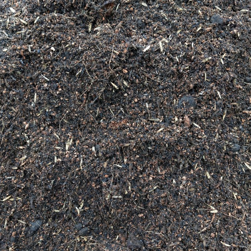 Đất Sạch Trồng Cây Giàu Dinh Dưỡng