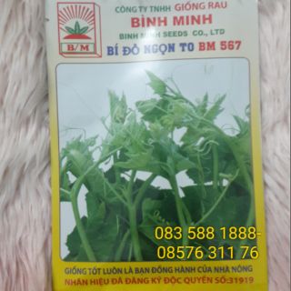 Hạt giống bí đỏ ngọn