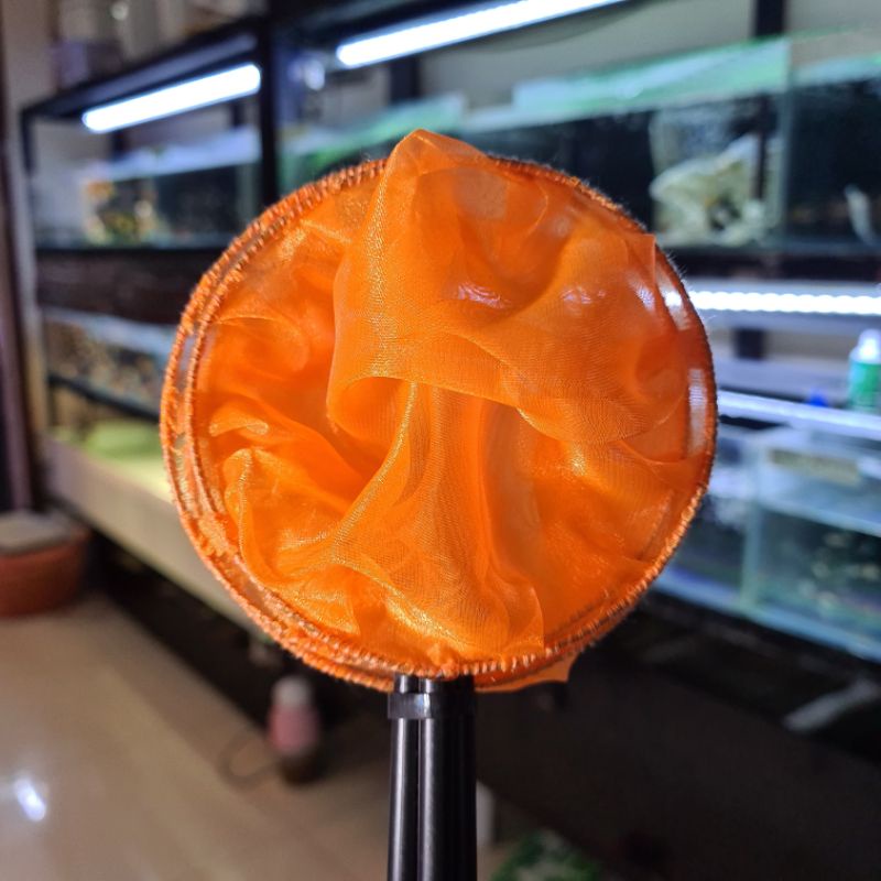 Stupid Vợt đủ màu