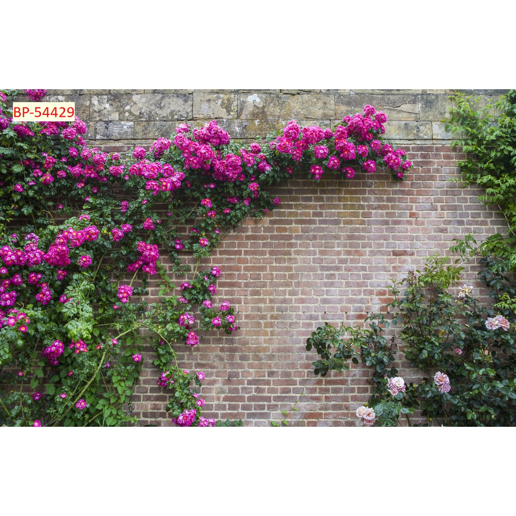 Tranh dán tường 3D Giả Gạch Giả Gỗ Hoa Dây Leo