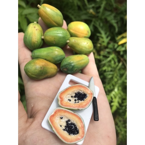 Đu đủ thu nhỏ bằng đất sét