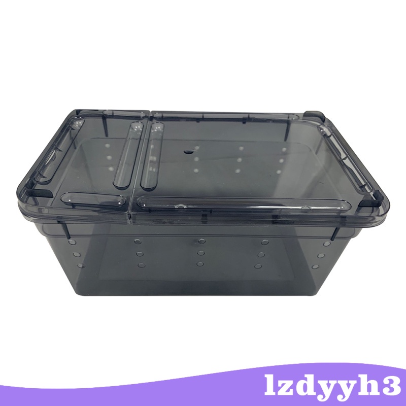 Hộp Nhựa Đựng Thức Ăn Cho Bò Sát / Côn Trùng