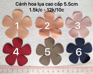 Combo ruybang phụ kiện 200
