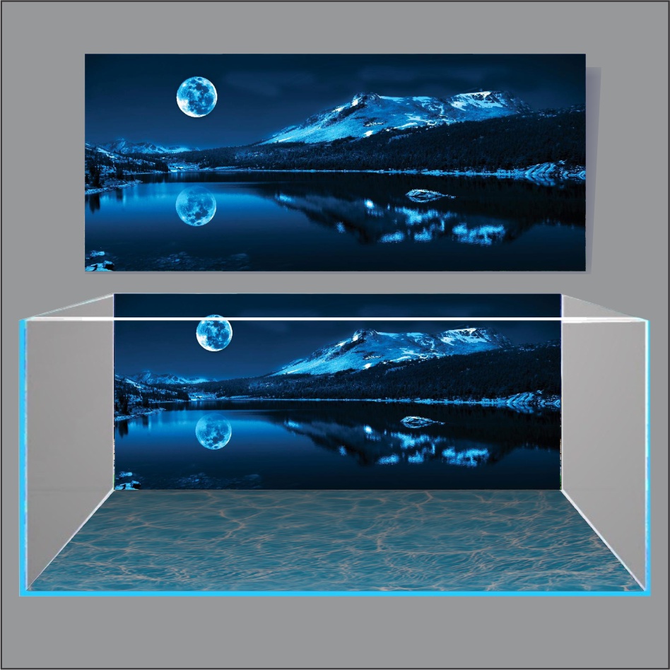 TRANH 3D DÁN HỒ CÁ NEW MOON LIGHT_TRANH LƯNG