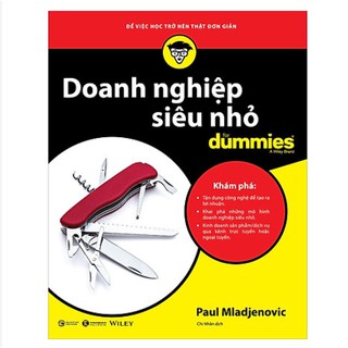 Sách - Doanh nghiệp siêu nhỏ for Dummies