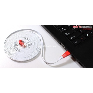 Cáp mạng 1.8M UNITEK Y-C801 cao cấp