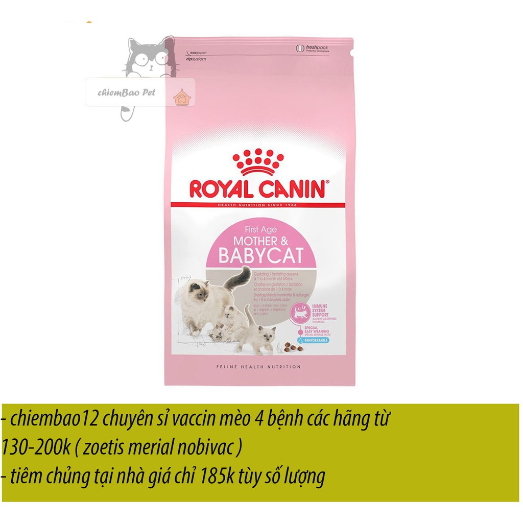 thức ăn khô canin baby cho mèo bầu và mèo con bao 4kg
