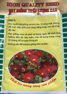 Hạt giống cải chíp 🥬 20 gr ☘️