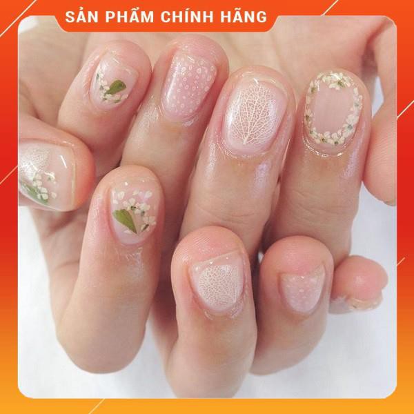 Set Hoa Khô Chùm Trang Trí Nail 12 Màu - Set Hoa Khô Chùm Trang Trí