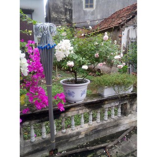MÓC KẼM TREO LAN CỠ ĐẠI - 90cm