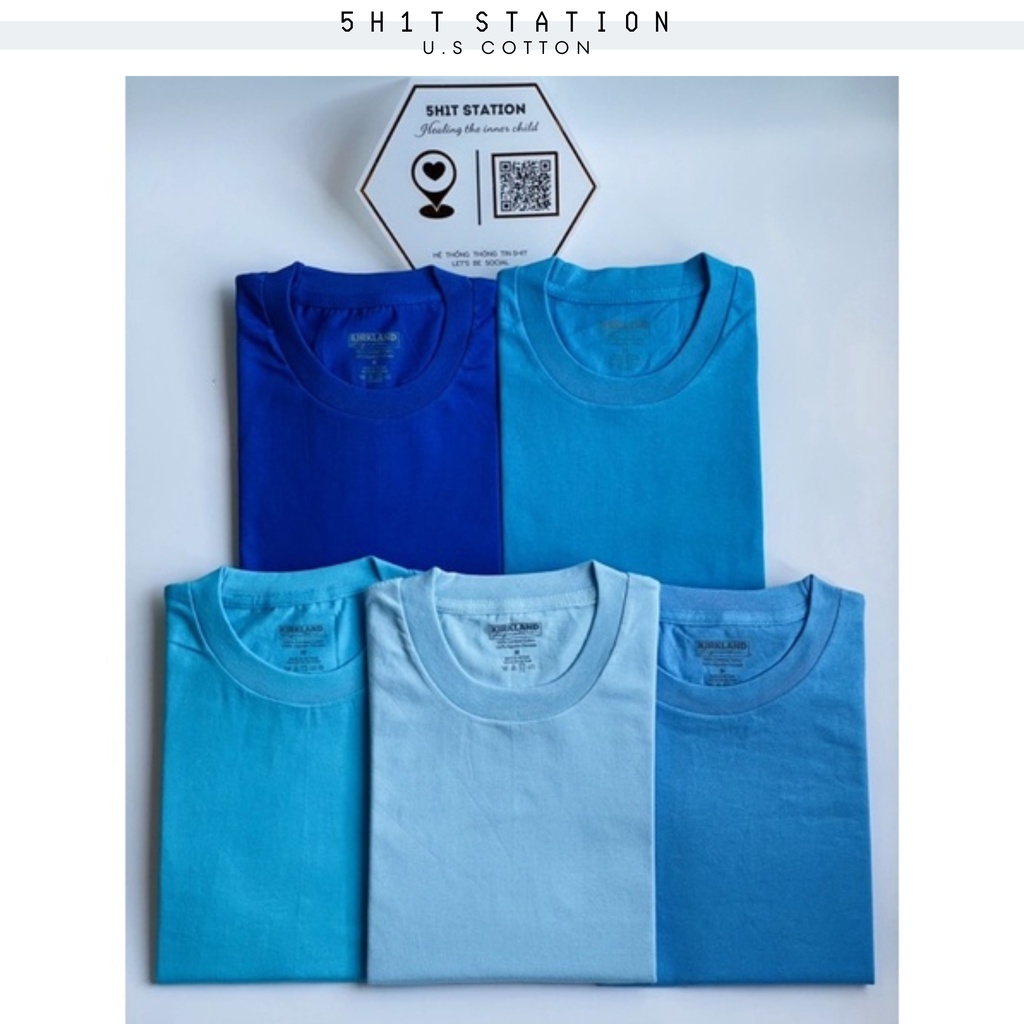 ÁO THUN MỸ COTTON 100% / XANH XANH DƯƠNG / 5H1T