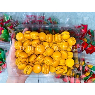 COMBO 5 MACARON MINI ( chọn vị )