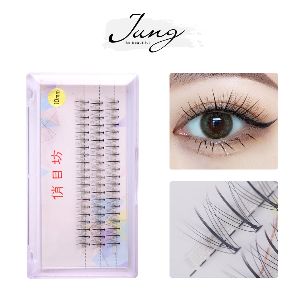[JUNG] Hộp lông mi giả tự nhiên dạng cụm hộp trắng
