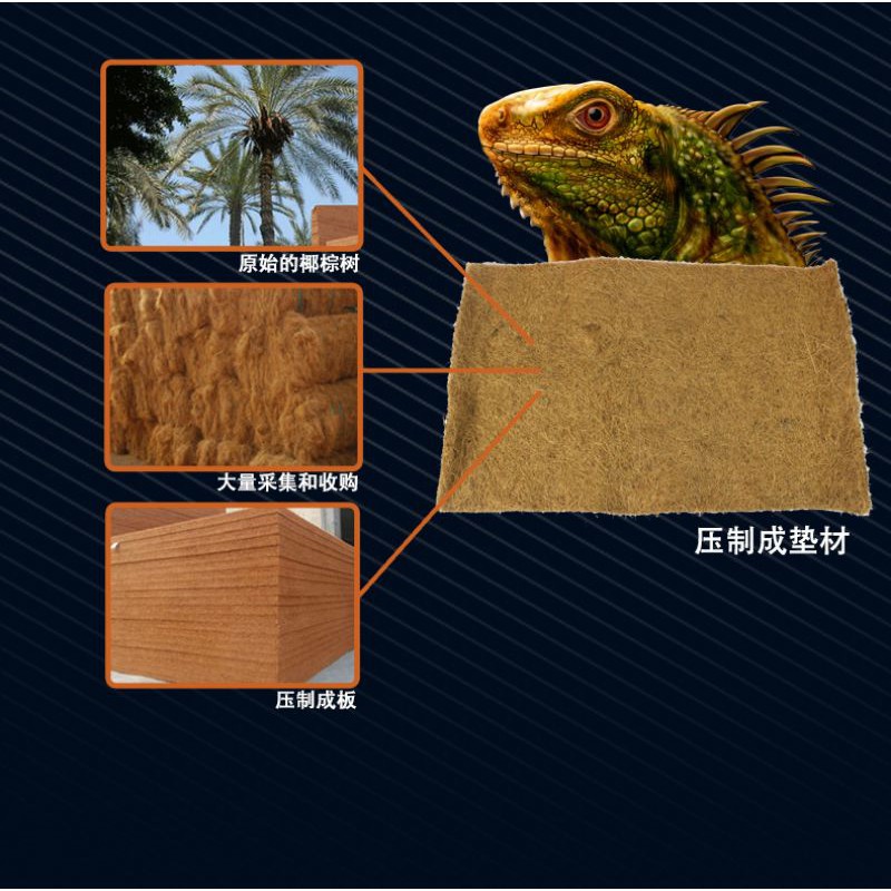 Thảm Xơ Dừa cho dòng Bò Sát 80x40cm