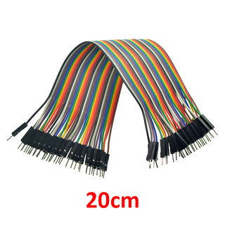 10 Sợi Dây Cắm Test Board Đực Đực 21cm - NTHN