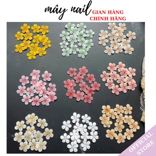.Hoa mai nhí gắn móng trang trí móng