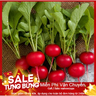 Hạt Giống Củ Cải Đỏ F1 - 200 Hạt