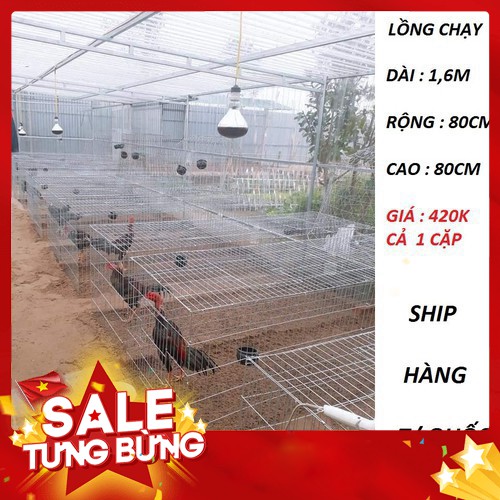 Lồng chạy tập thể lực cho gà