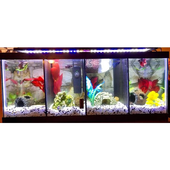 Tấm nhựa ABS đen chắn hồ cá cảnh 0.5mm, 18cmx25cm