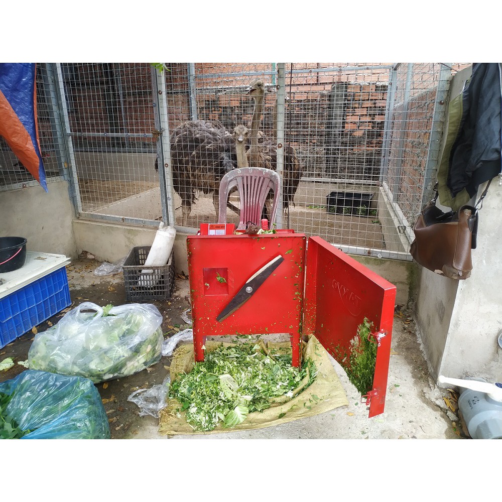 Máy băm cỏ băm cỏ voi băm chuối đa năng takyo 2hp